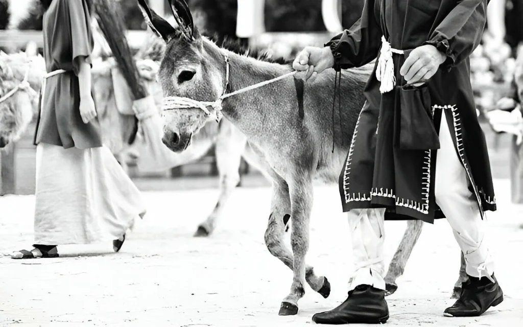 The Pastor’s Donkey: A Comical Tale of Perception and Wisdom