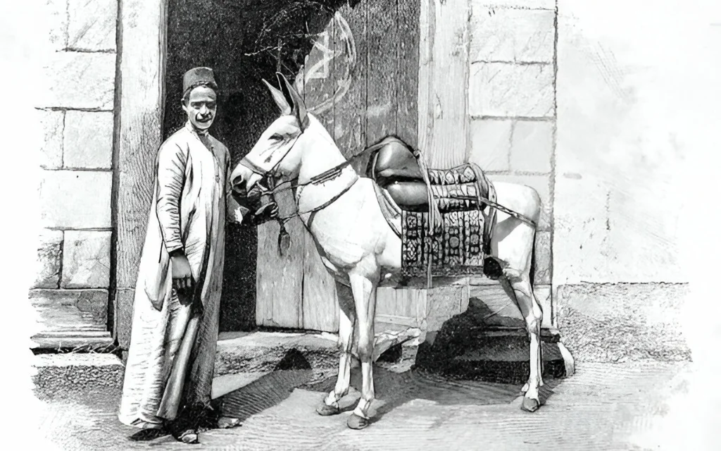 The Pastor’s Donkey: A Comical Tale of Perception and Wisdom