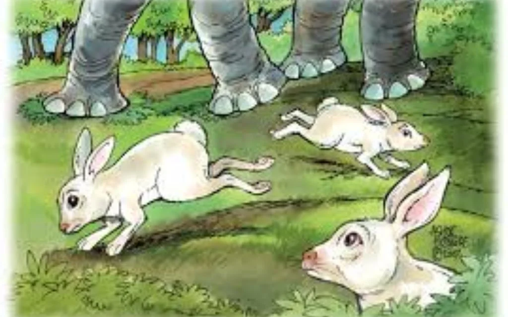 Friends of All Shapes and Sizes:  True Friendship