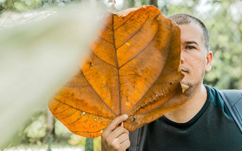 The Miracle of Creation