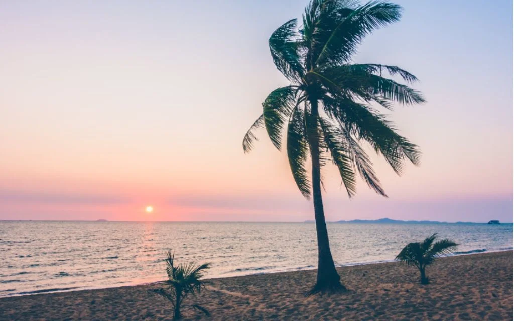 Relaxation Guide for future Stress-Free Travel