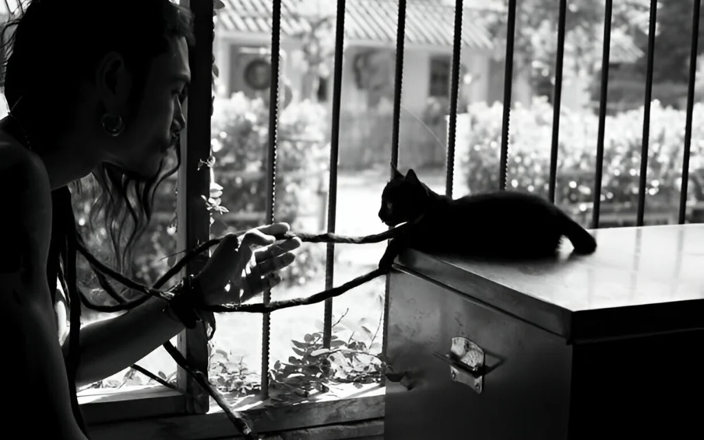 The Tied Cat: Breaking Rituals and Seeking Meaning